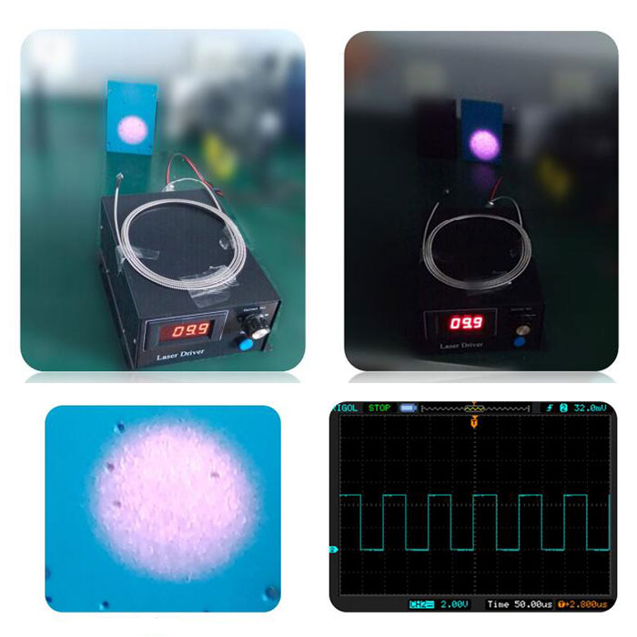 880nm 섬유 결합 레이저 1-350W IR Laser PC Control Customizable Laser